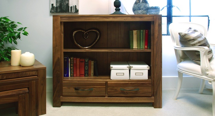 Bookcases & Shelving Units