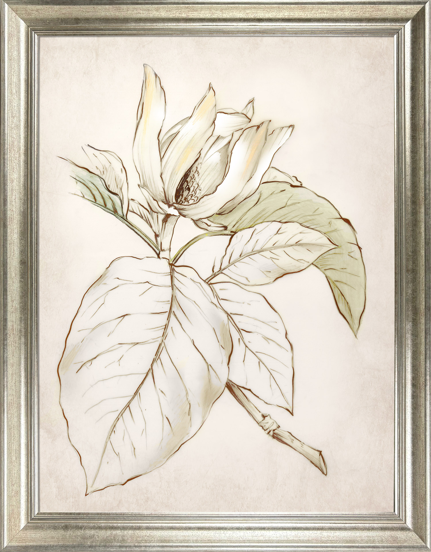 Botanical II by Camelot Pictures | Style Our Home