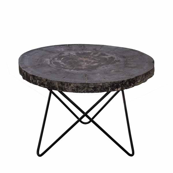 Petrified Wood Round Coffee Table by Bluebone | Style Our Home