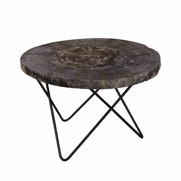 Petrified Wood Round Coffee Table by Bluebone | Style Our Home