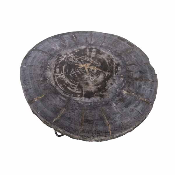 Petrified Wood Round Coffee Table by Bluebone | Style Our Home