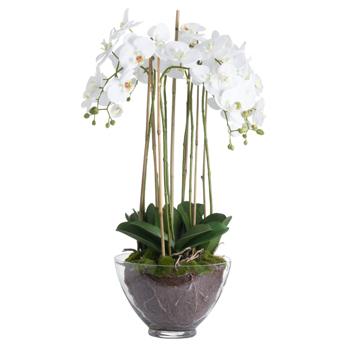 Large White Orchid In Glass Pot by Hill Interiors | Style Our Home