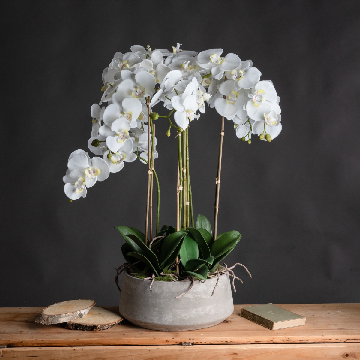 Large White Orchid In Stone Pot by Hill Interiors | Style Our Home