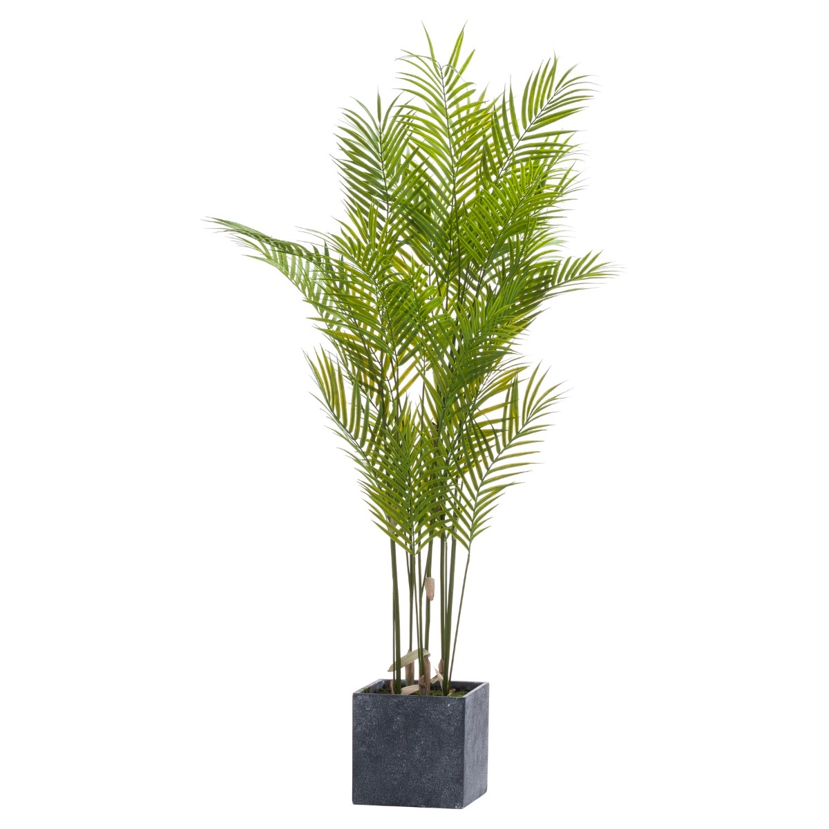 Large Paradise Potted Palm by Hill Interiors | Style Our Home