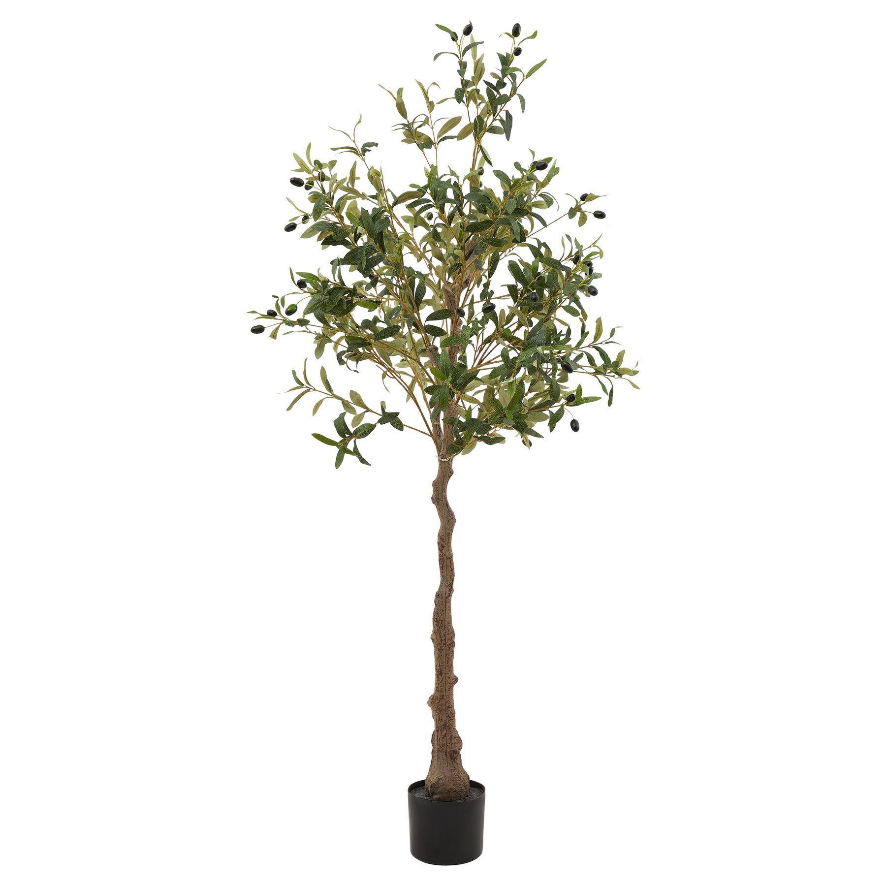Calabria Olive Tree by Hill Interiors | Style Our Home  