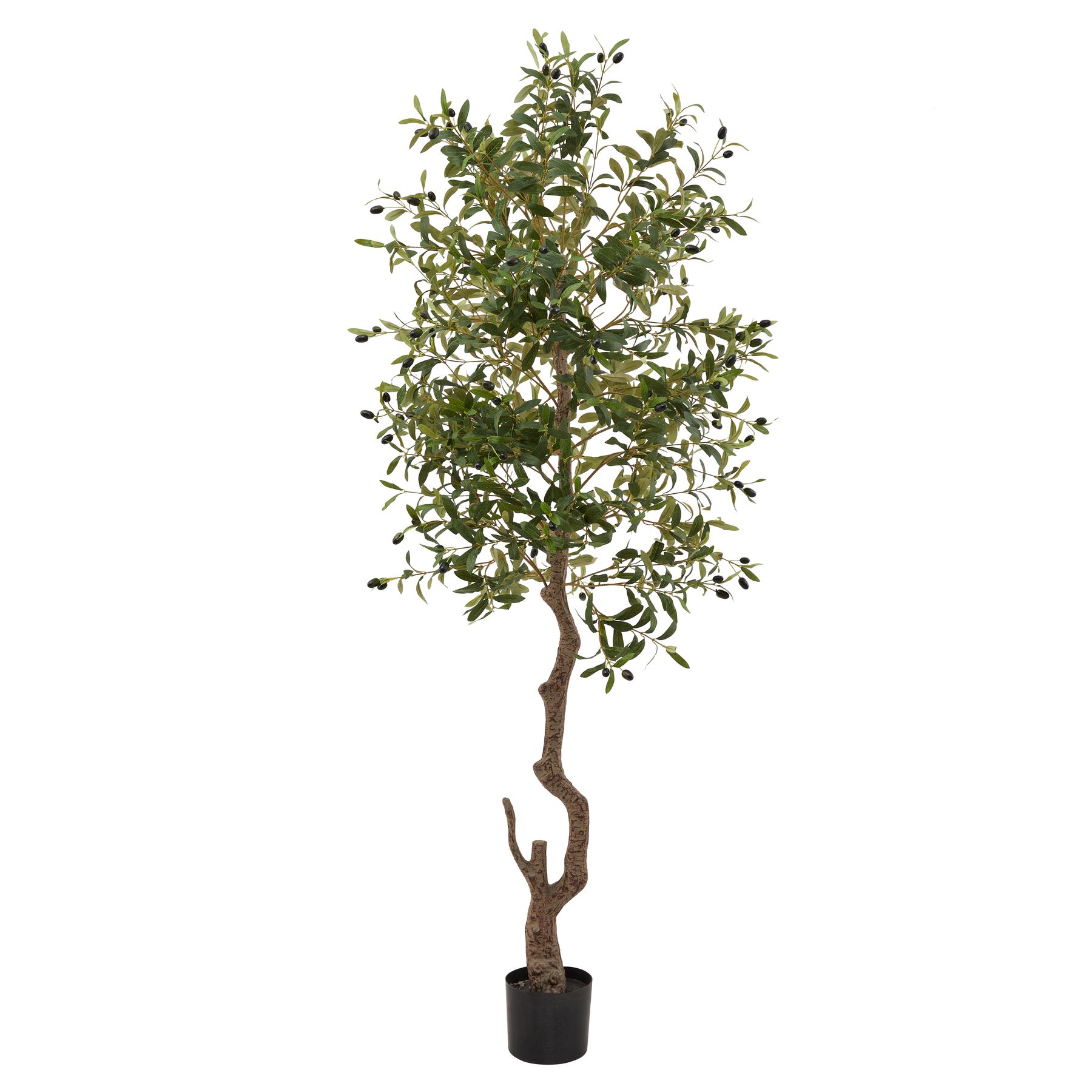 Calabria Large Olive Tree by Hill Interiors | Style Our Home  