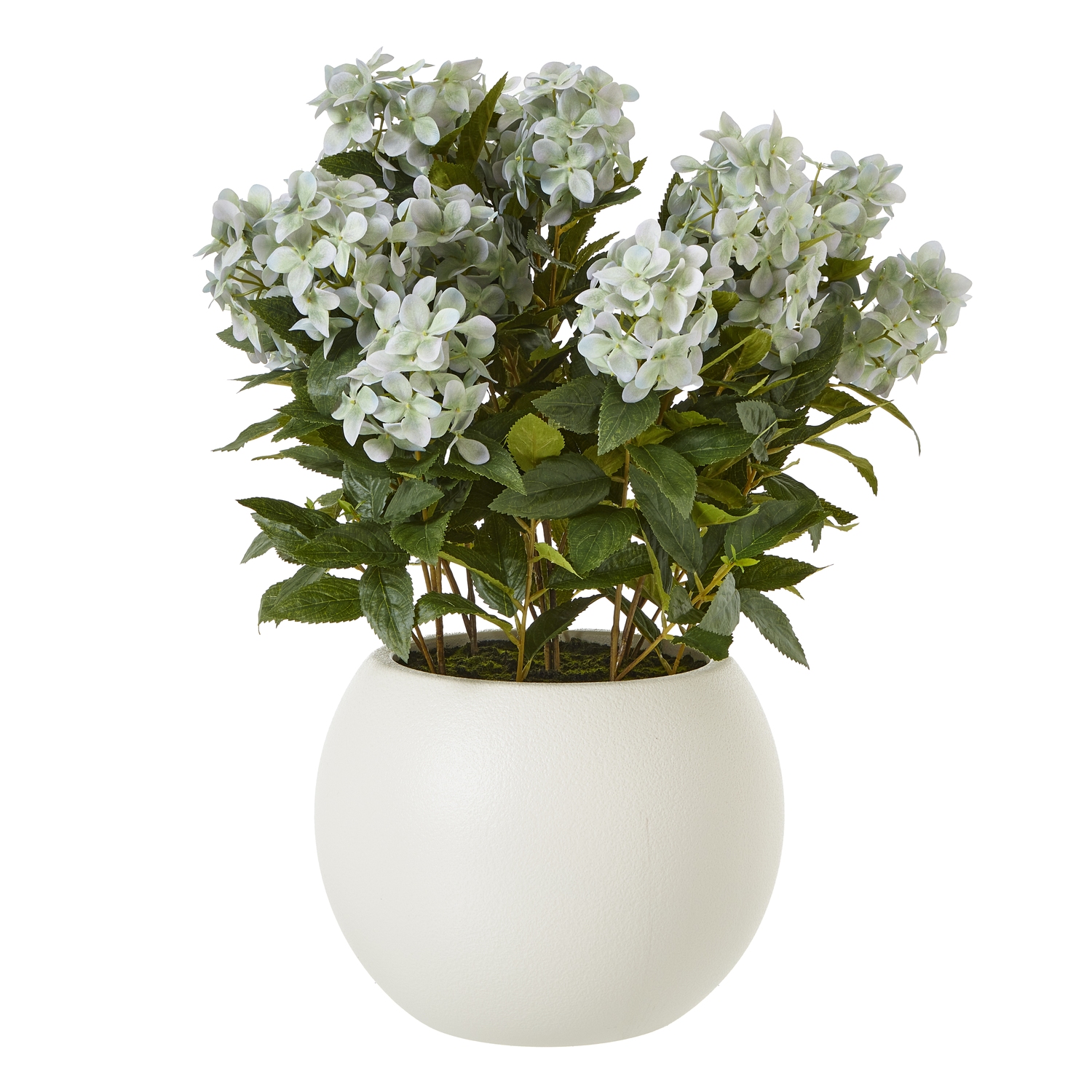 Large Green Hydrangea Plant In Pot by Hill Interiors | Style Our Home  