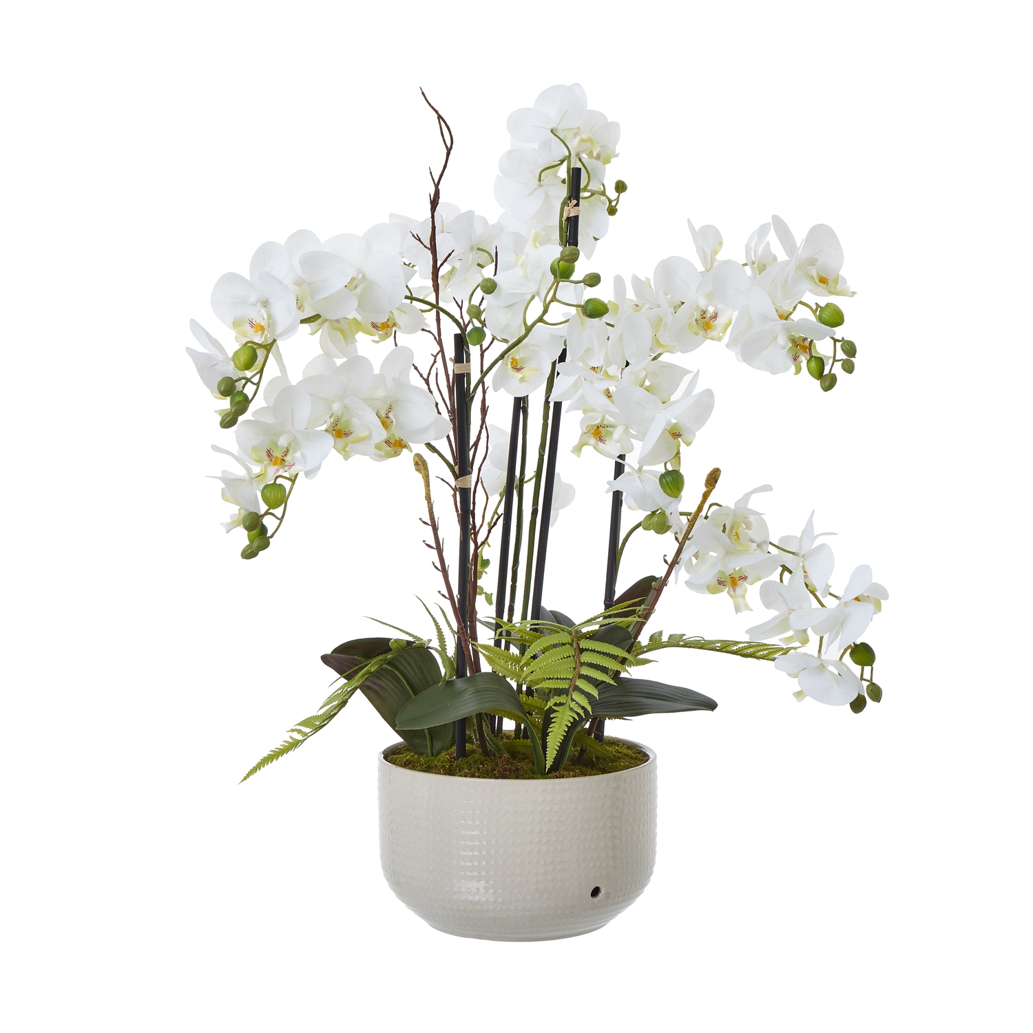Large White Orchid In Ceramic Pot by Hill Interiors | Style Our Home  