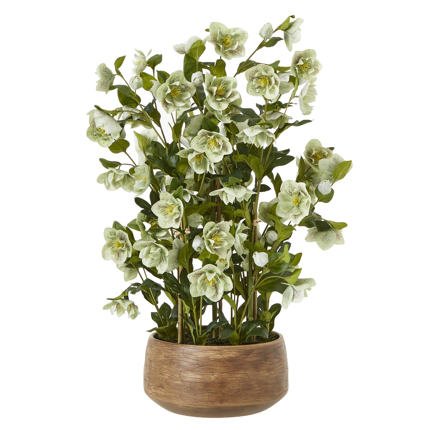 Large Green Hellebore in Taupe Pot by Hill Interiors | Style Our Home  