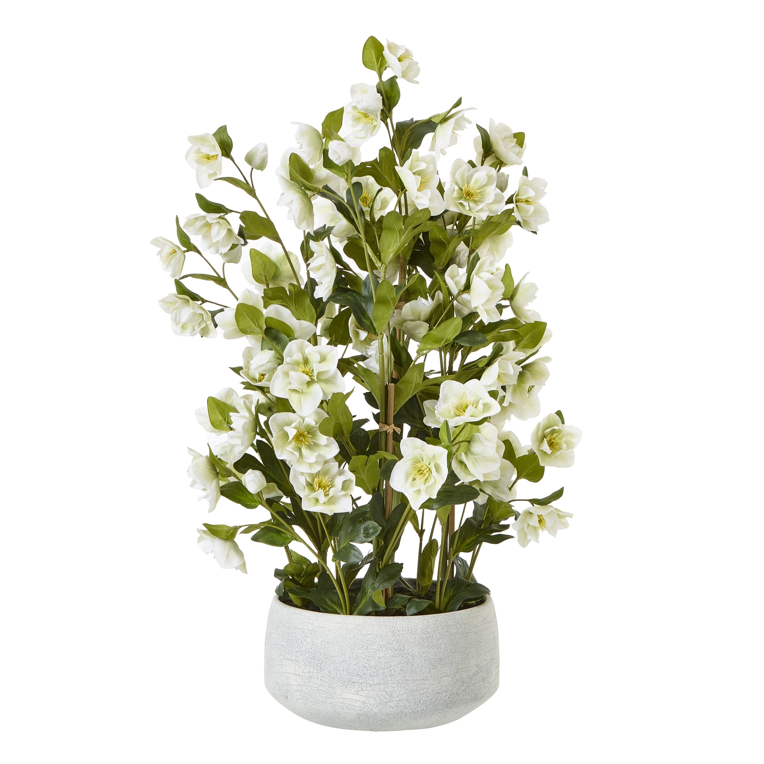 Large White Hellebore In Grey Pot by Hill Interiors | Style Our Home  
