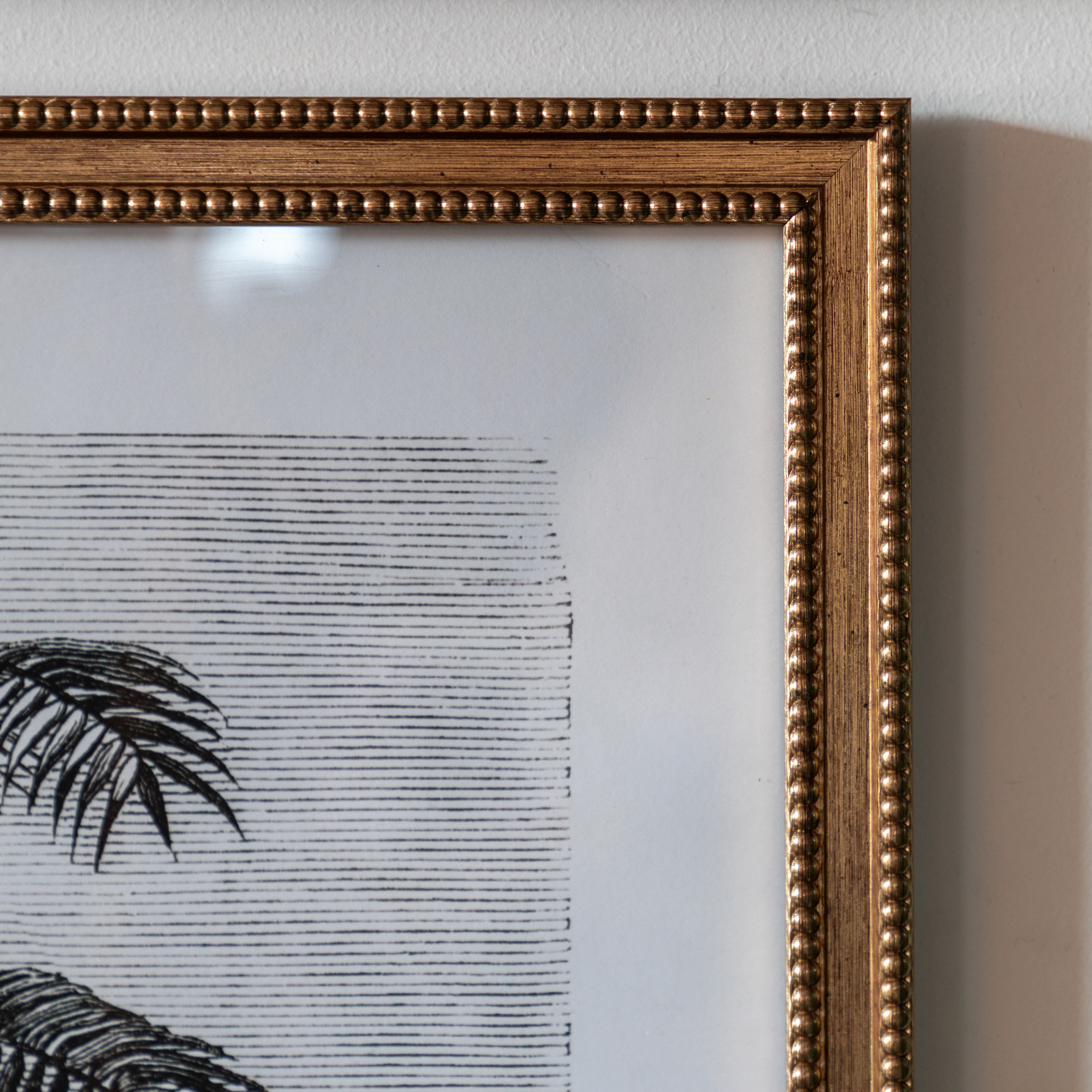 Colano Sketches Framed Art Set of 2 by Gallery Living | Style Our Home