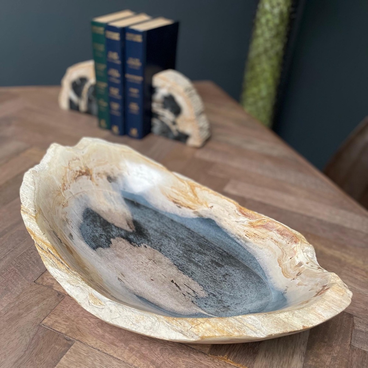 Petrified Wood Lipped Bowl by Monologue | Style Our Home