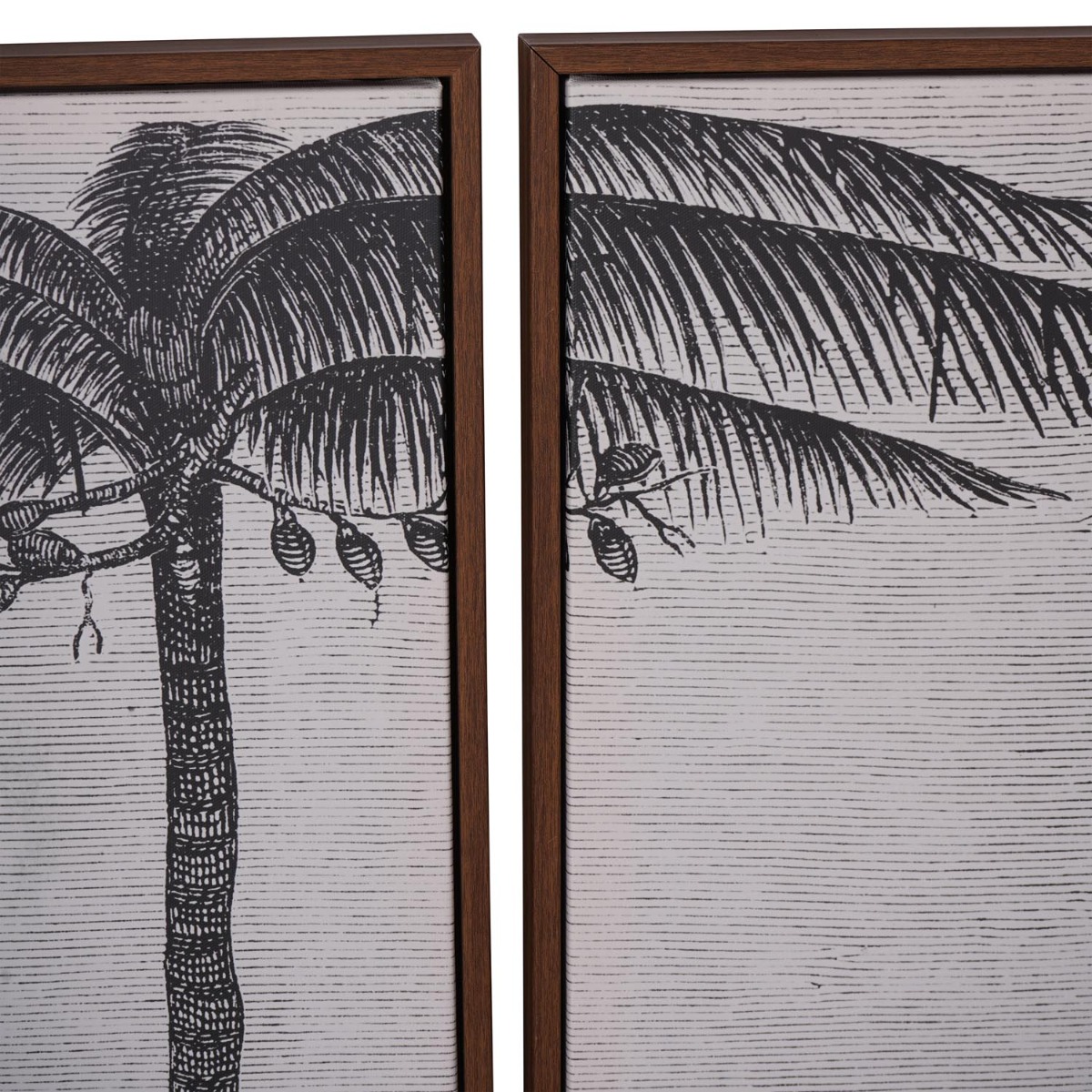 Palm Set of Four Framed Canvas by Libra Designs | Style Our Home
