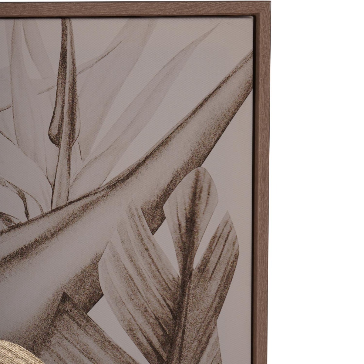 Framed Tropical Birds 3 Piece Canvas by Libra Designs | Style Our Home
