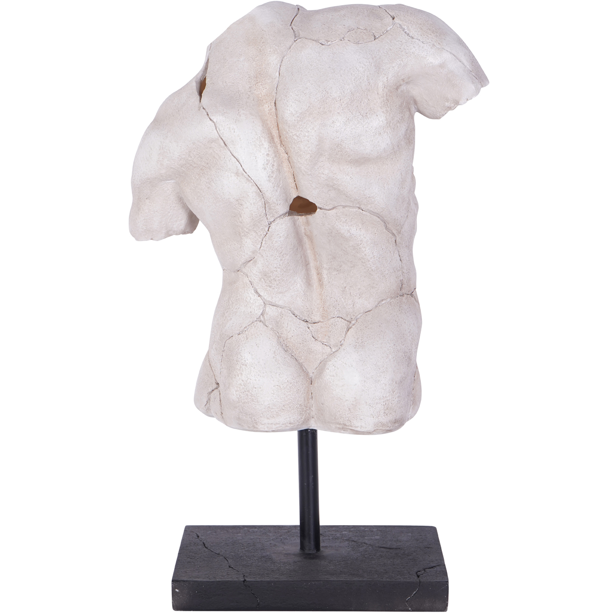 Male Torso on Stand  by Libra Designs | Style Our Home