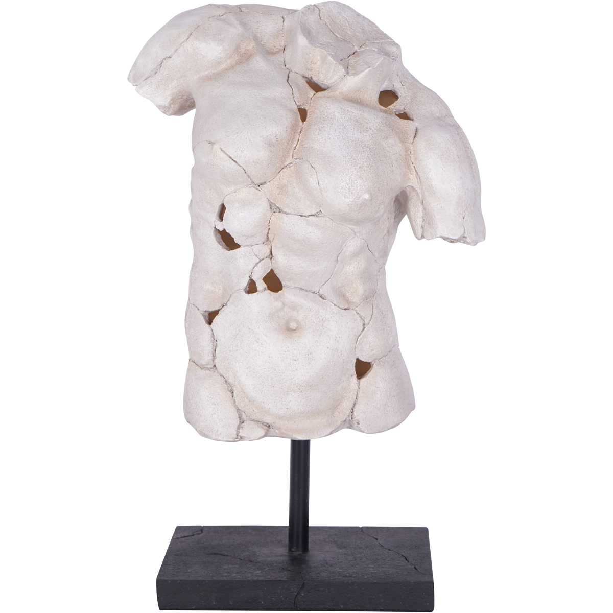 Male Torso on Stand  by Libra Designs | Style Our Home