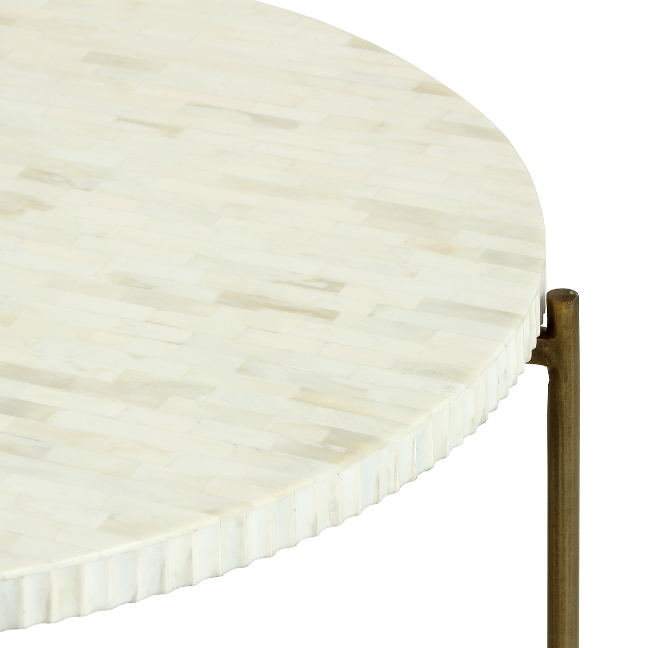 Apollo Bone Inlay Coffee Table