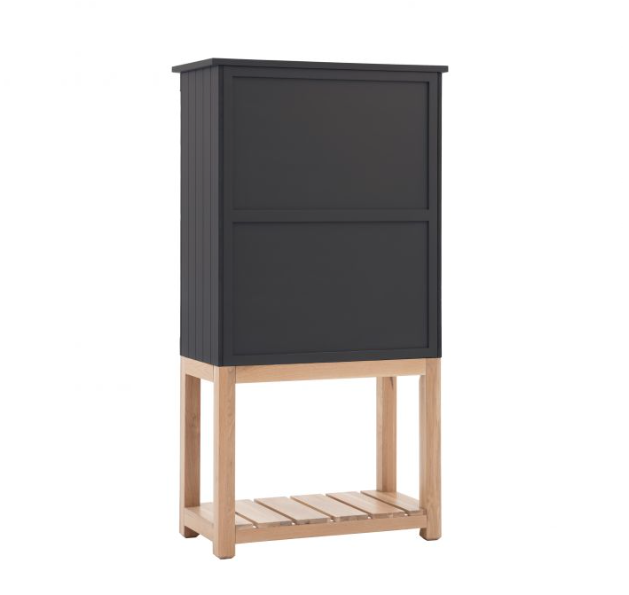 Manor Meteor 2 Door Cupboard by Hudson Living | Style Our Home 