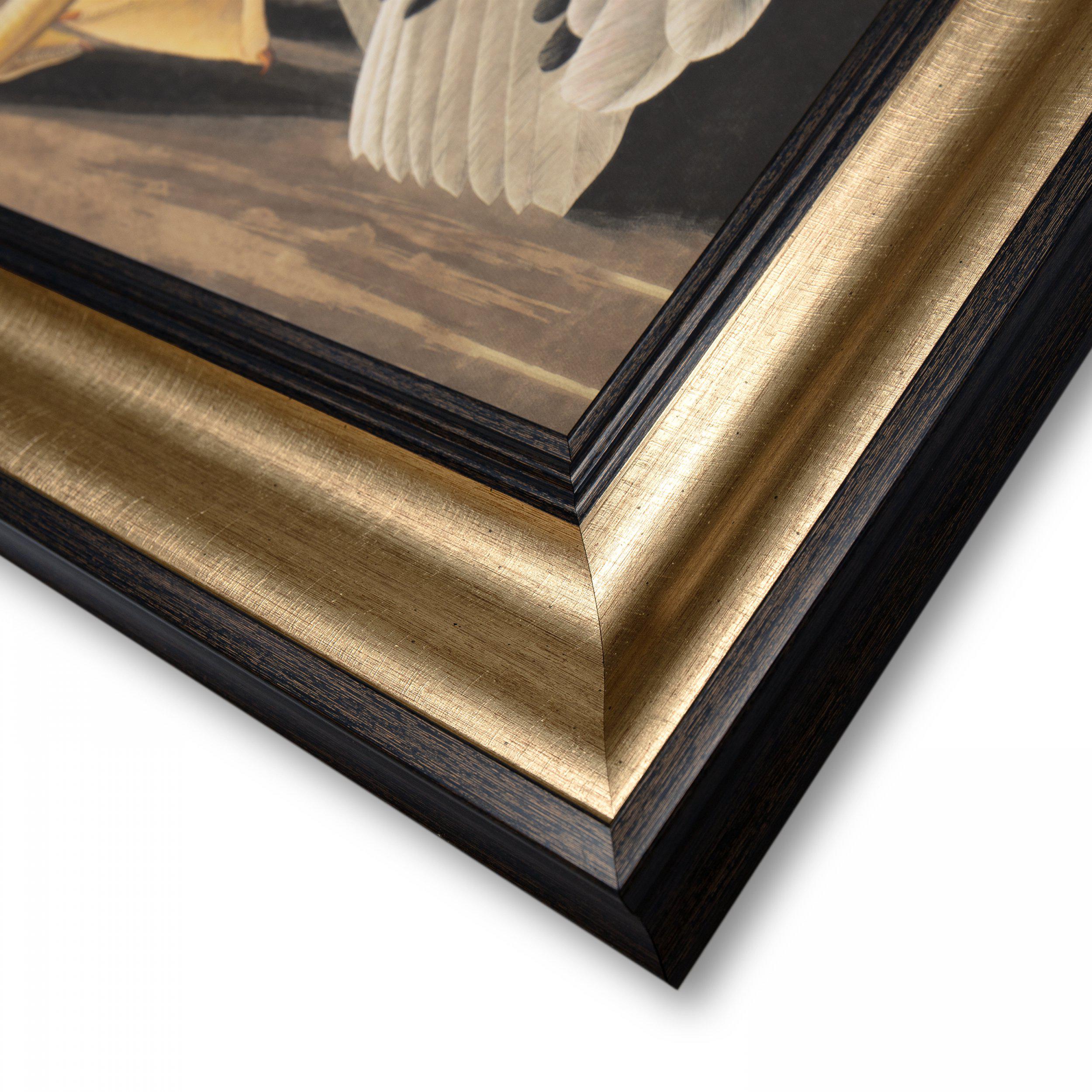 White Pelican Framed Canvas  by Gallery Living | Style Our Home