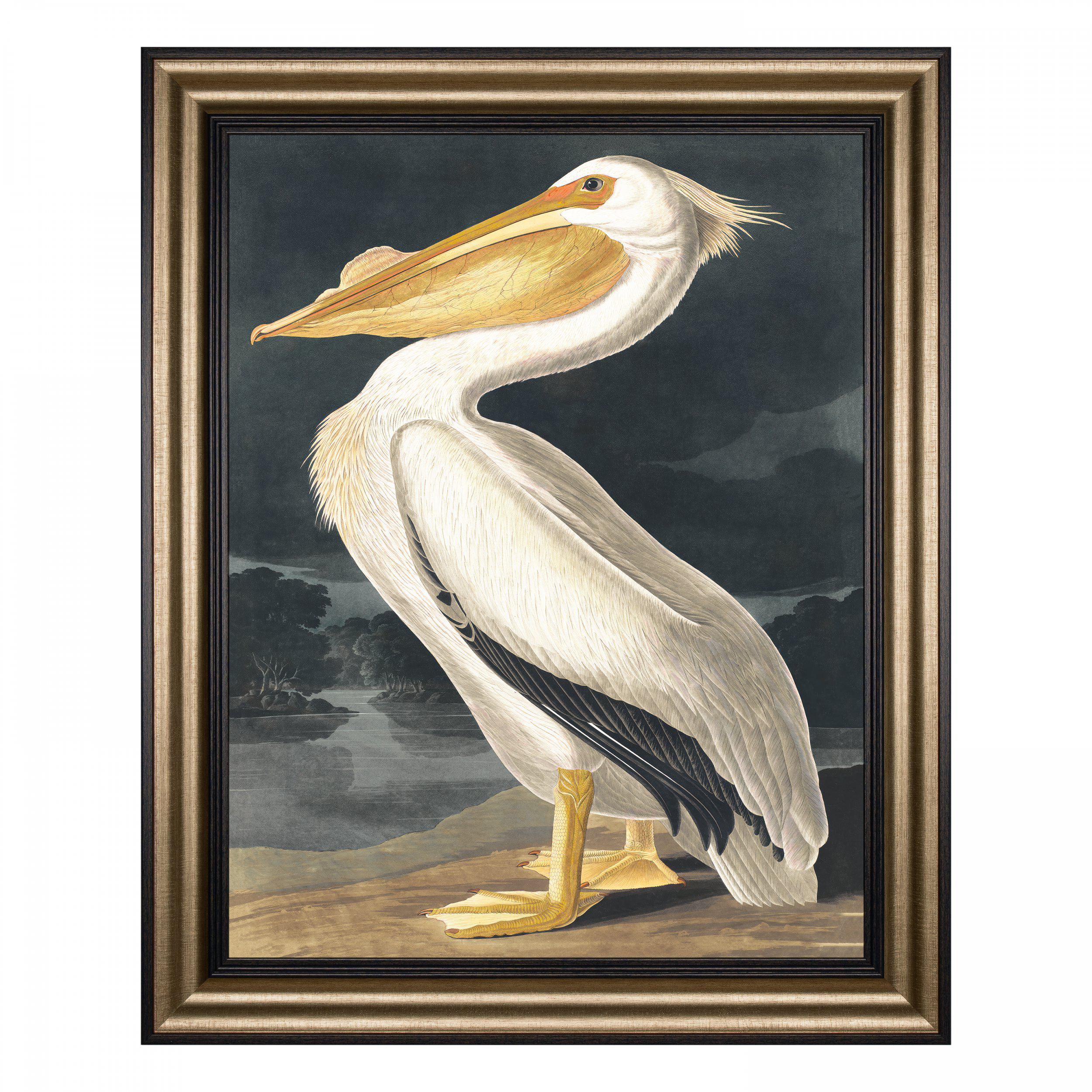 White Pelican Framed Canvas  by Gallery Living | Style Our Home