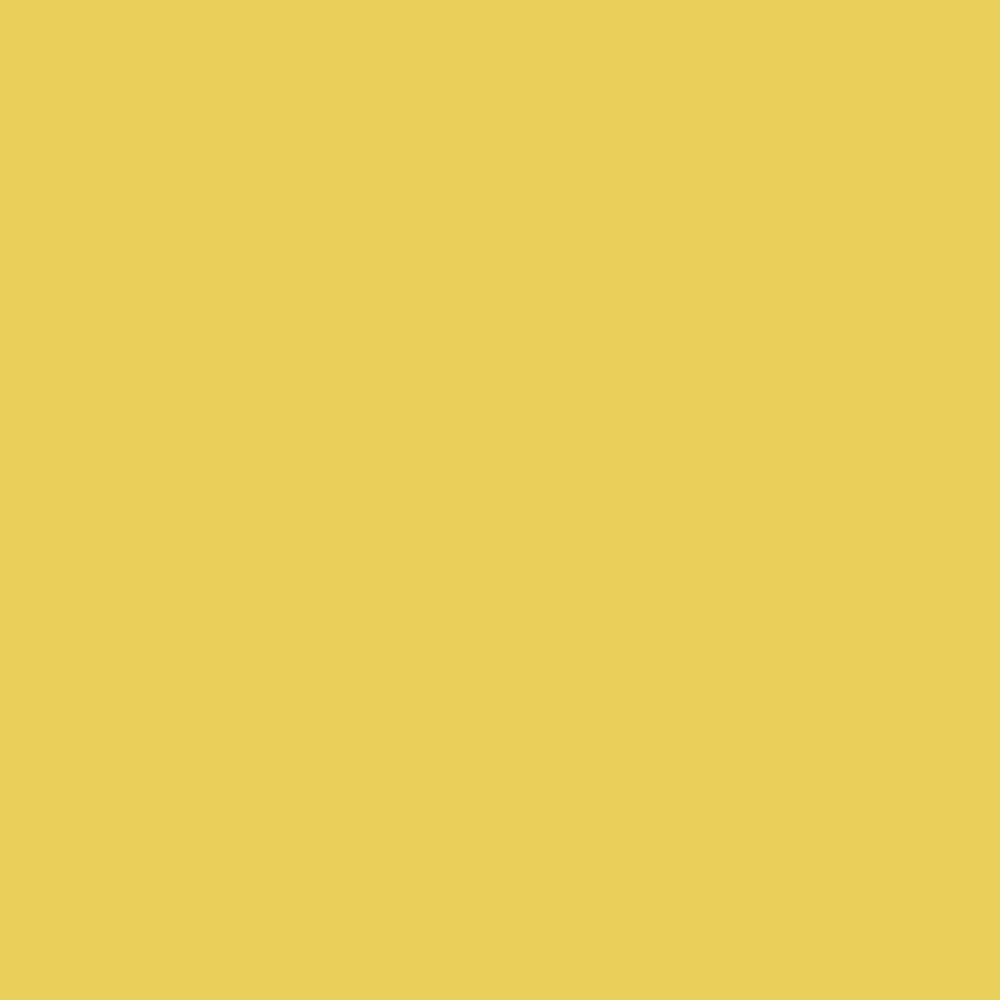 Bees Knees Paint by William Yeoward | Style Our Home
