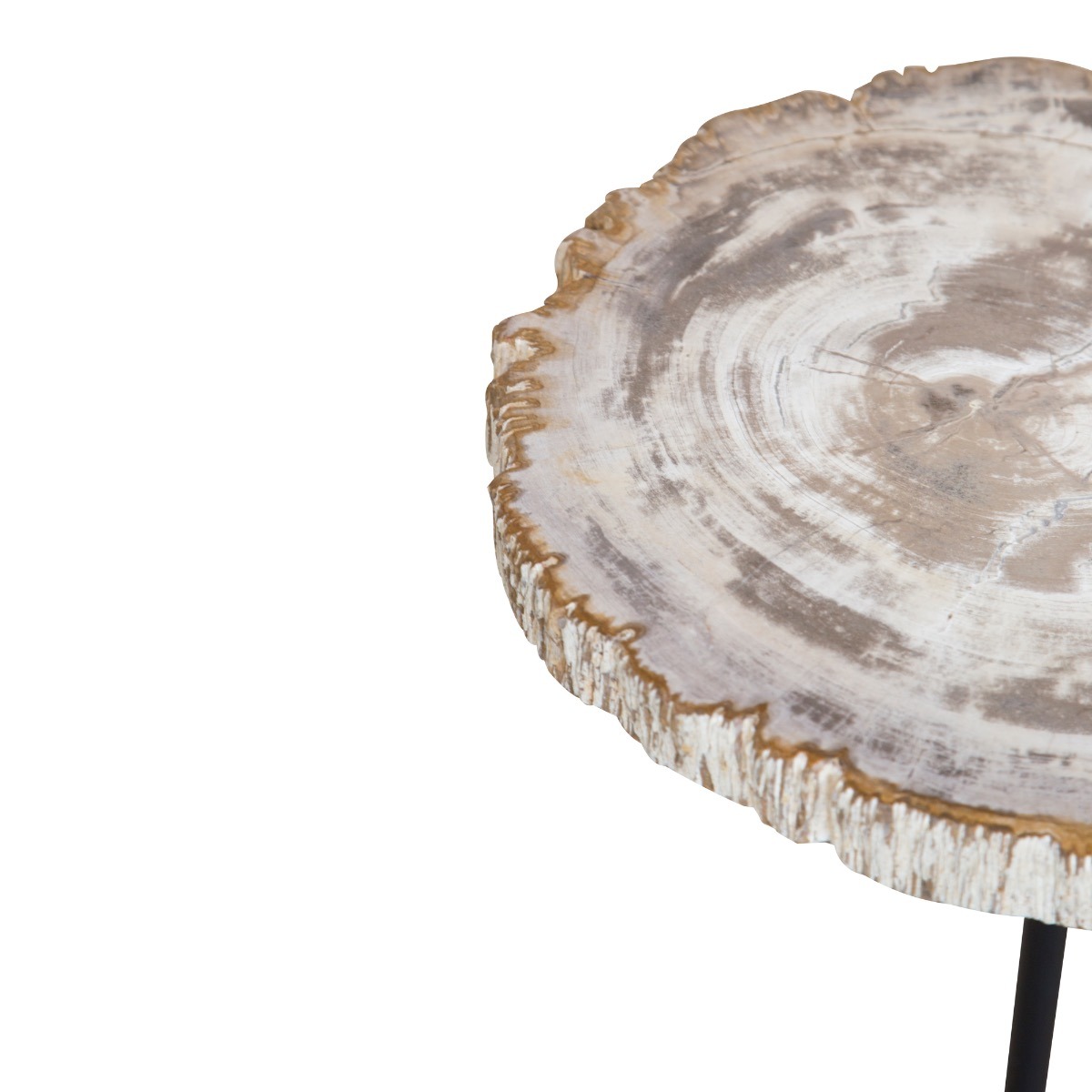 Light Petrified Wood Staccato Table by Bluebone | Style Our Home