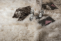 Mantra Pearl Rug -Katherine Carnaby by Asiatic London | Style Our Home