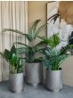 Belvedere Aged Gold Set of 3 Floor Planters