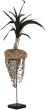 Balinese Helmet With Shell And Feather by DTP Interiors | Style Our Home
