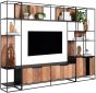 Cosmo 2 Doors Open Racks TV Wall Element Bookcase