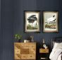 Great Blue Heron by Camelot Pictures | Style Our Home