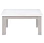 Greystone - Low Square Coffee Table by Baumhaus | Style Our Home