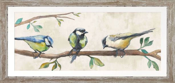 Three Songbirds by Camelot Pictures | Style Our Home