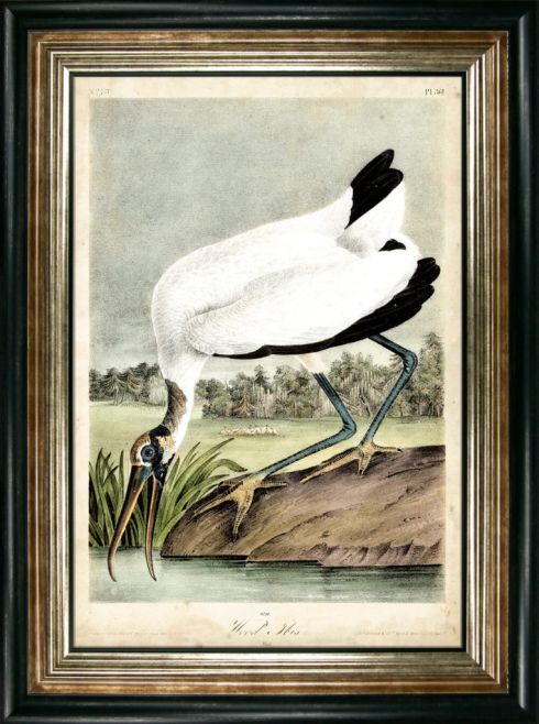 Wood Ibis by Camelot Pictures | Style Our Home