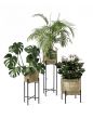 Vivi Large Plant Stand - Style Our Home - 3