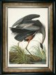 Great Blue Heron by Camelot Pictures | Style Our Home