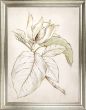 Botanical II by Camelot Pictures | Style Our Home