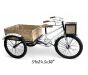 Vintage Display Tricycle Stand