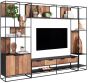 Cosmo 2 Doors Open Racks TV Wall Element Bookcase