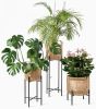 Vivi Small Plant Stand - Style Our Home