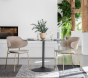 Trafal Taupe Dining Chair ( A Pair ) by Hudson Living | Style Our Home
