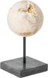 Ball Cheese Stone Object by DTP Interiors | Style Our Home