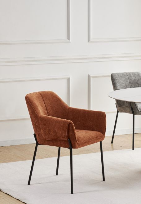 Somerwick Dining Armchair (2pk) by Shankar | Style Our Home