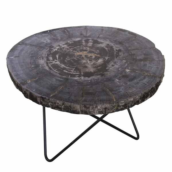 Petrified Wood Round Coffee Table by Bluebone | Style Our Home