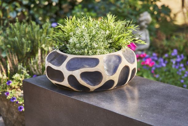 Flores - Giraffe Bowl by Monologue | Style Our Home