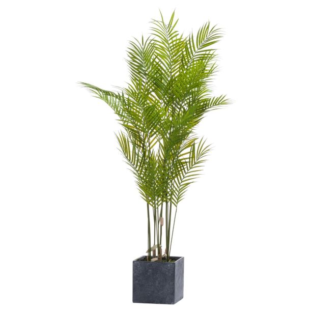 Large Paradise Potted Palm by Hill Interiors | Style Our Home