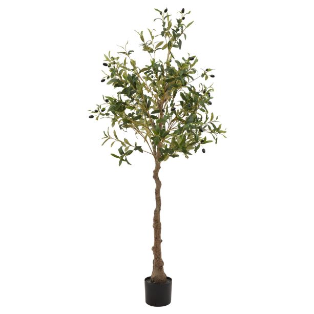 Calabria Olive Tree by Hill Interiors | Style Our Home  