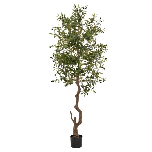 Calabria Large Olive Tree by Hill Interiors | Style Our Home  