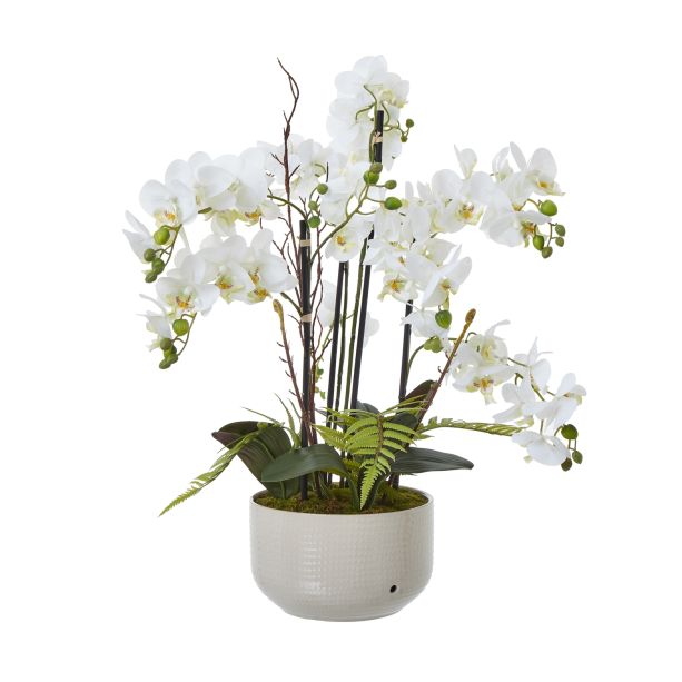 Large White Orchid In Ceramic Pot by Hill Interiors | Style Our Home  