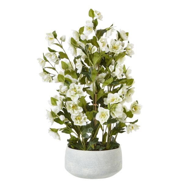 Large White Hellebore In Grey Pot by Hill Interiors | Style Our Home  